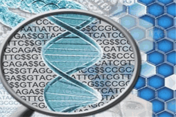 基云惠康基因检测